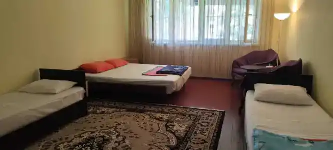 Даша и дельфины - 16