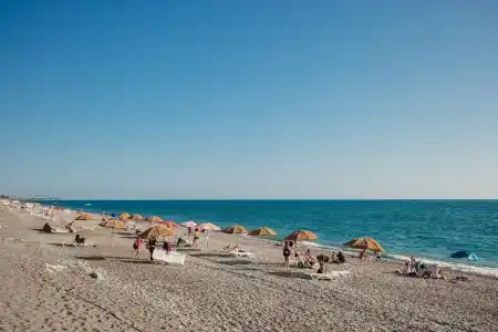 Тарба - 64