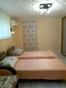 Розмарин - 40