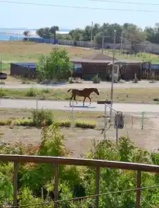 ВМысовом - 42