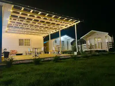 Stella - 8