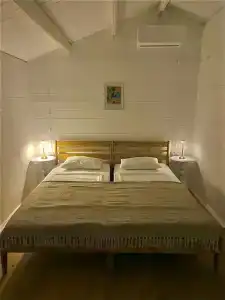 Stella - 3