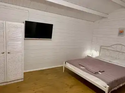 Stella - 24