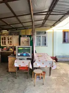Роза - 17