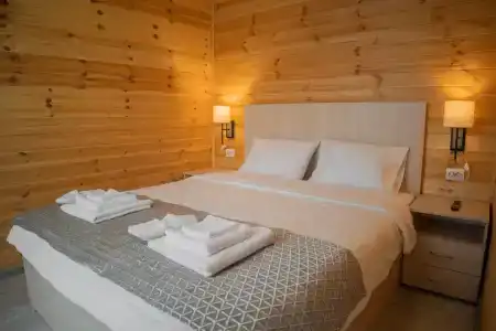 Калиник - 19