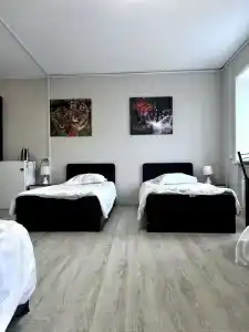 Золотая Ригма - 62