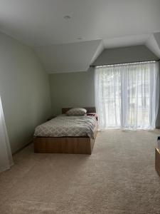 Малахова - 19