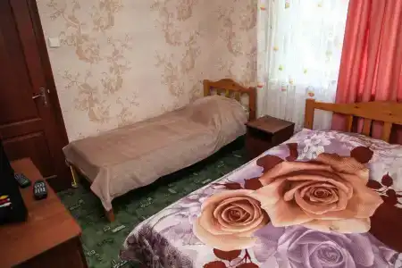 Амур - 36