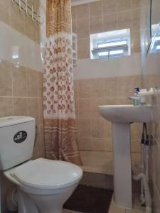 Касабланка - 55