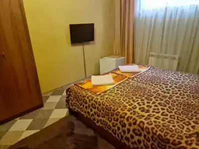 Вистерия Сириус - 34