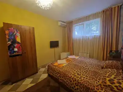 Вистерия Сириус - 44