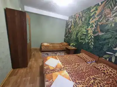 Вистерия Сириус - 53