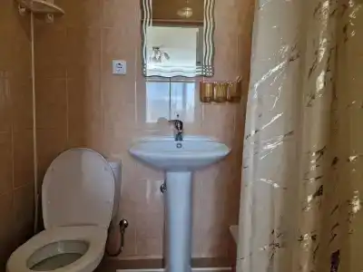 Вистерия Сириус - 107