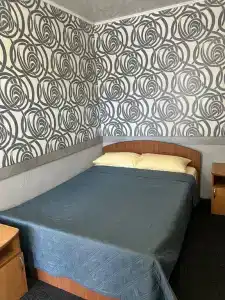 Фламинго - 50