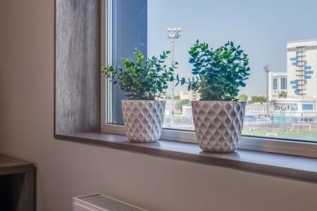 Юнити Sokroma - 106