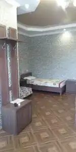 Астра - 11