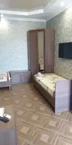 Астра - 14