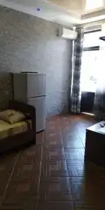 Астра - 13