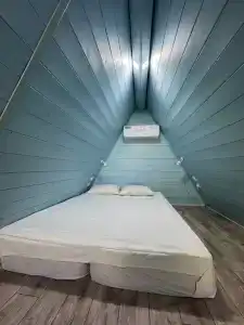 Черемушки - 40