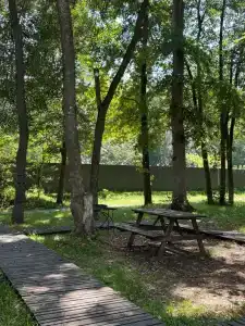 Черемушки - 34