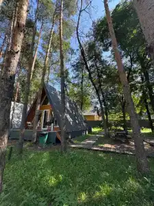 Черемушки - 33