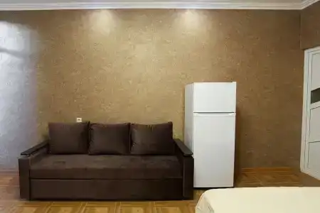 Астра - 20
