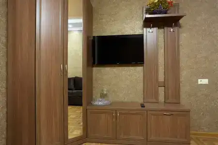 Астра - 24