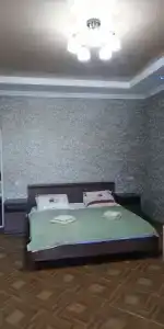 Астра - 32