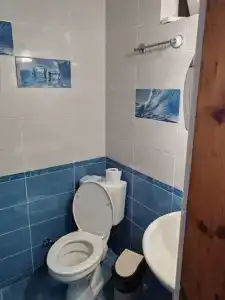 Сапфир - 10