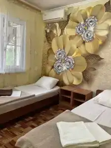 Кипарис - 12