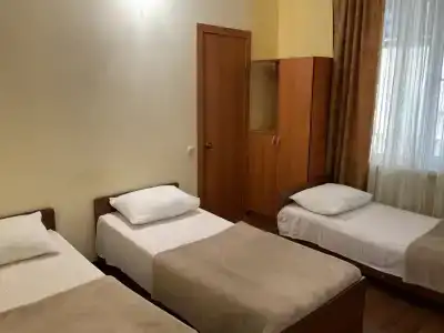 Кипарис - 20