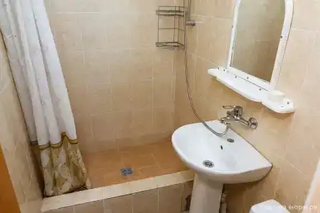 Кипарис - 21