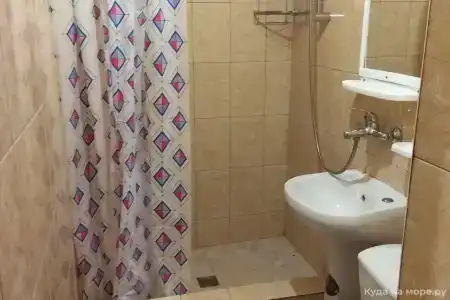 Кипарис - 22