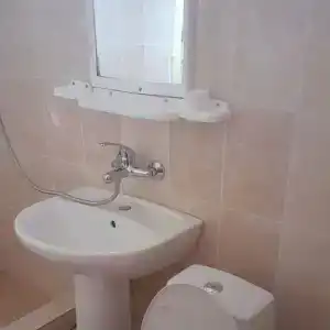 Кипарис - 25