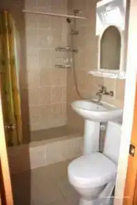 Кипарис - 26