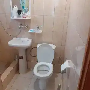 Кипарис - 27