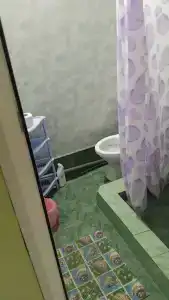 Зеленый дворик - 17
