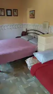 Зеленый дворик - 20