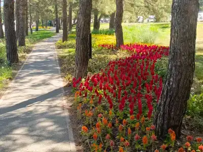 Константа - 56