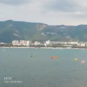 Константа - 101