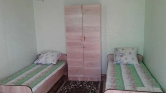Адина - 1
