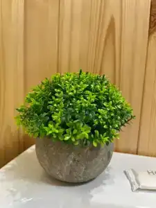 Летний сад - 37