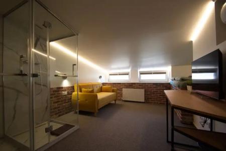 Novotel Loft Rooms by - 60