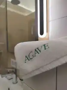 Agave - 68