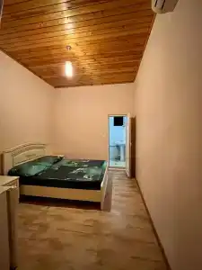 Дельфин - 10