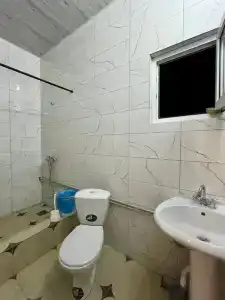 Дельфин - 11
