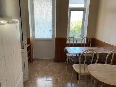 Агава - 22