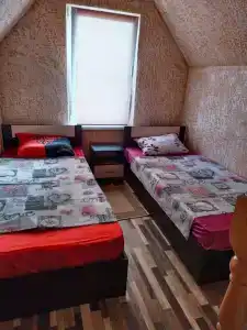 Ноев Ковчег - 25