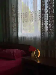 Ангелина - 9