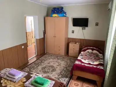 Агава - 40